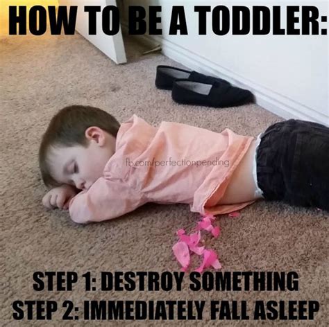 10 hilarious toddler memes to cheer you up when they drive you crazy