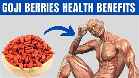 Goji Berries Benefits, Weight Management, Health Benefits, Antioxidants, Diabetes, Healthy ...