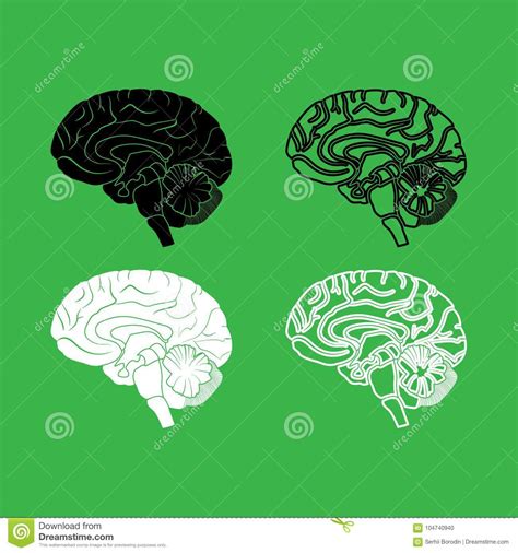 Brain Icon Black and White Color Set Stock Vector - Illustration of medicine, color: 104740940