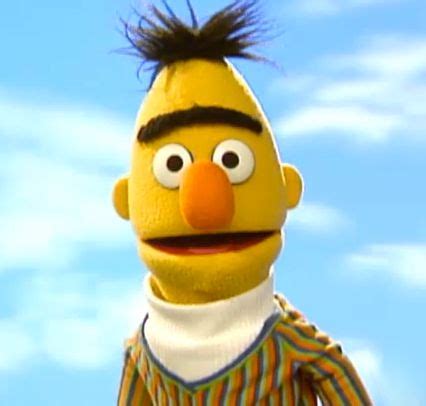 Bert is full of emotions you tell by his eyebrows Sesame Street Muppets ...