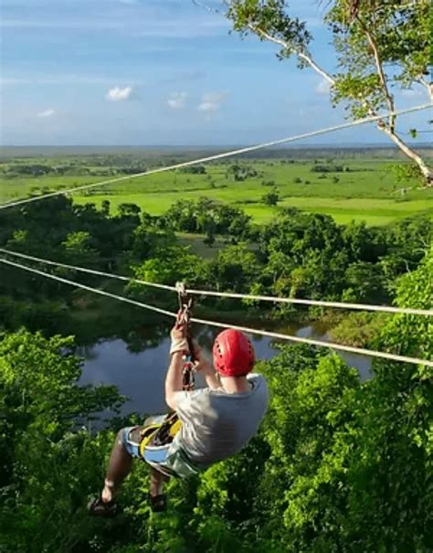 12 Best Zipline Adventure Parks & Tours In Puerto Rico (2024)