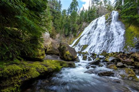 21 Spectacular Hikes Near Eugene, Oregon - Territory Supply