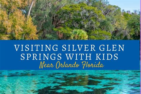 Tips for Visiting Silver Glen Springs With Kids • Visiting Orlando With ...