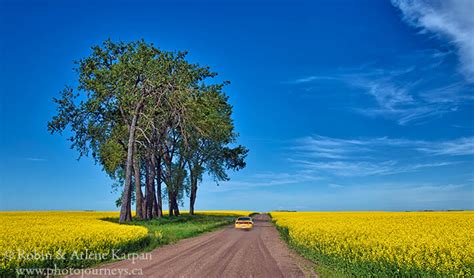 20 Favourite Saskatchewan Landscape Photos from 2020 - Photo Journeys