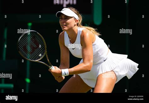 Paula badosa 2022 wimbledon hi-res stock photography and images - Alamy