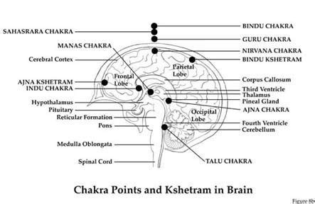 Chakras | Chakra system, Chakra locations, Chakra