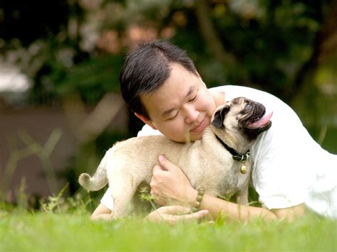 California science exhibit explains the dog-human friendship - Santa Monica Daily Press