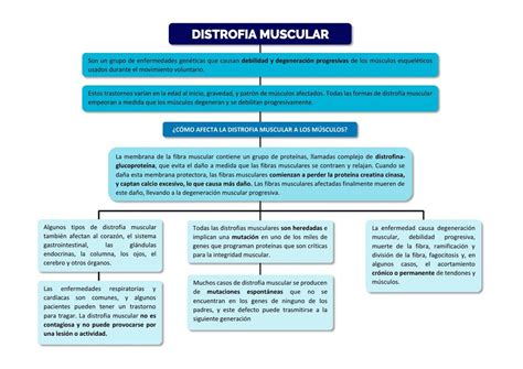 Distrofia muscular - Fisiopatología - Mapa conceptual | VertexMed | uDocz