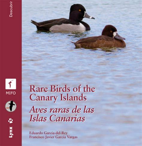 Rare Birds of the Canary Islands