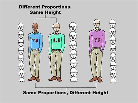 Proportion - A Principle of Art