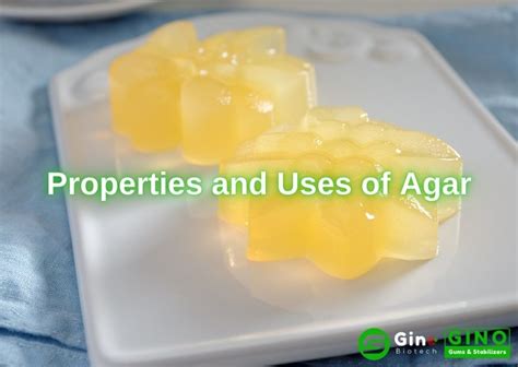 4 Top Guides on How to Use Agar Agar