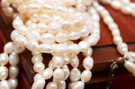 Pearl Types: 5 Main Ones for You to Choose From - TPS Blog