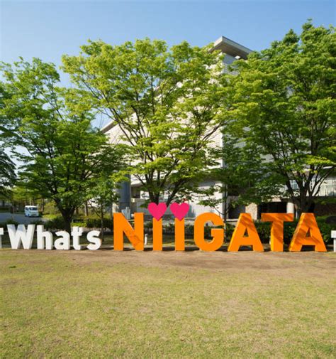 740+ Niigata City Photos Stock Photos, Pictures & Royalty-Free Images - iStock