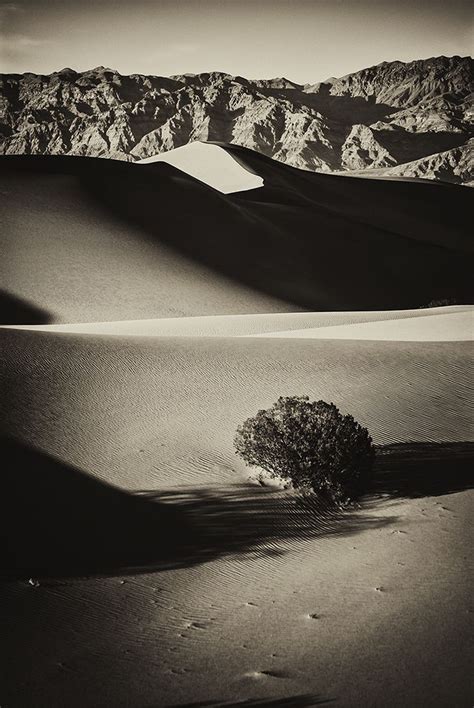 James Lattanzio’s Black and White Landscapes Work in Layers | Black and ...