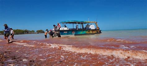 Where to find dinosaur footprints in Broome - best place