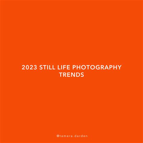 2023 Still Life Photography Trends — Darden Creative - New York Beauty ...