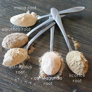 Cooking with Maca Root Powder - Recipes | The Maca Team