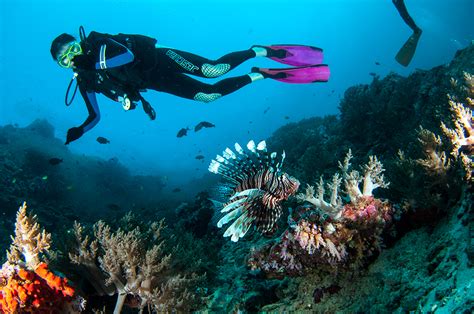 Diving @ Tioman, Malaysia – Scuba Diving Academy