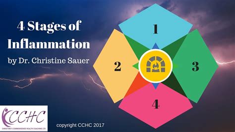 The 4 Stages of Inflammation - YouTube