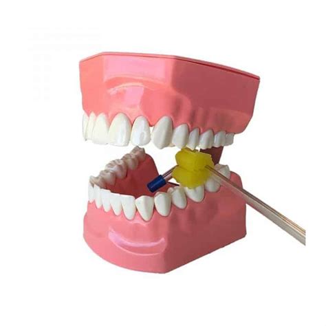 MediPros® Mouth Prop/Bite Block-Split Type | HIT Dental & Medical Supplies