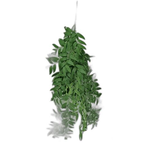 Silk -printed leaf simulation willow leaf wall hanging wall decorative flower and grass ...