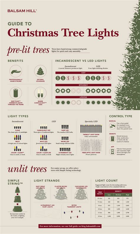 The Balsam Hill Christmas Tree Light Guide (Infographic)