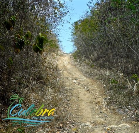 puerto-rico-hiking-trails-culebra-rosario-carlos - Culebra Puerto Rico