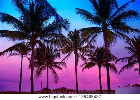 Miami Beach South Image & Photo (Free Trial) | Bigstock