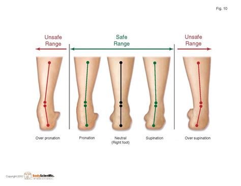 Video Tutorial #106 Spring Strengthening Exercises – Foot Inversion – Athlete for Life!