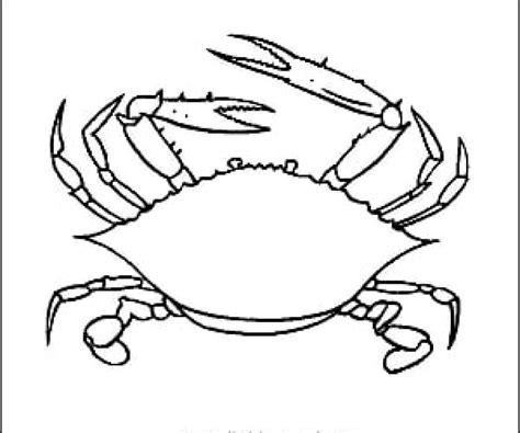 Crab Outline Drawing at PaintingValley.com | Explore collection of Crab Outline Drawing