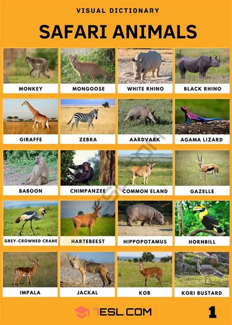 Safari Animals Names with Facts • 7ESL | Safari animals, Safari animals preschool, Animals wild