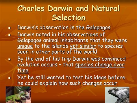 PPT - Natural Selection and Evolution PowerPoint Presentation - ID:421151