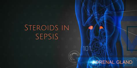 Steroids in Sepsis – The Bottom Line