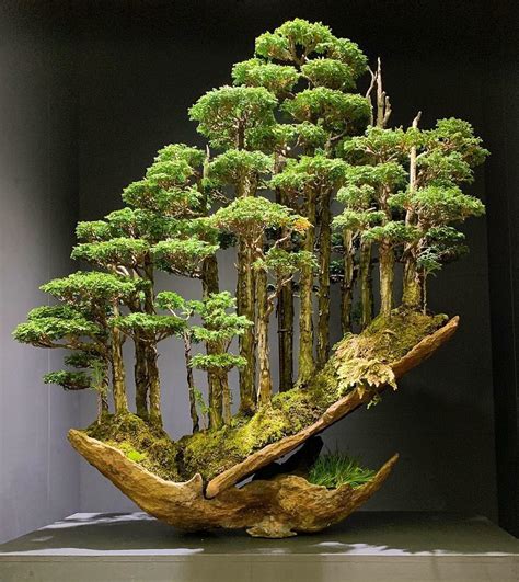 What Bonsai Tree Do I Have Check it out now | leafyzen