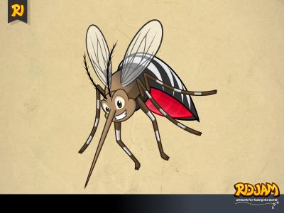 Mosquito Cartoon Character by ridjam on Dribbble