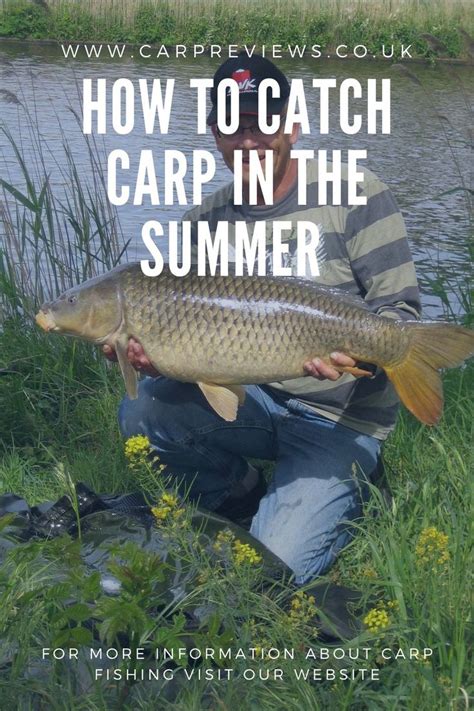 How to catch carp in the summer in 2020 | Carp fishing, Carp fishing bait, Carp fishing tips