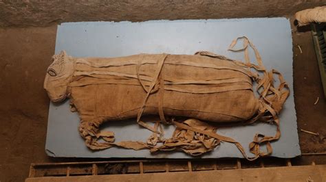 Egypt unveils 'one of a kind' discovery of hundreds of statues and ...