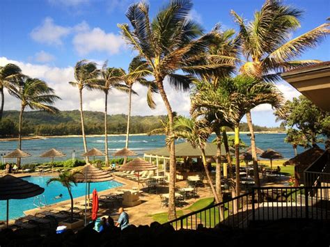 Aloha! We're poolside at the Turtle Bay Resort, North Shore, Oahu, Hawaii. | Turtle bay resort ...