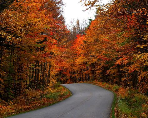 Autumn Path Wallpaper | Free Wallpapers