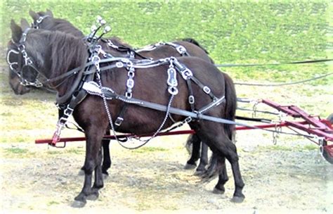 Farm/Work Harness for Horses - Mini through Draft | Chimacum Tack