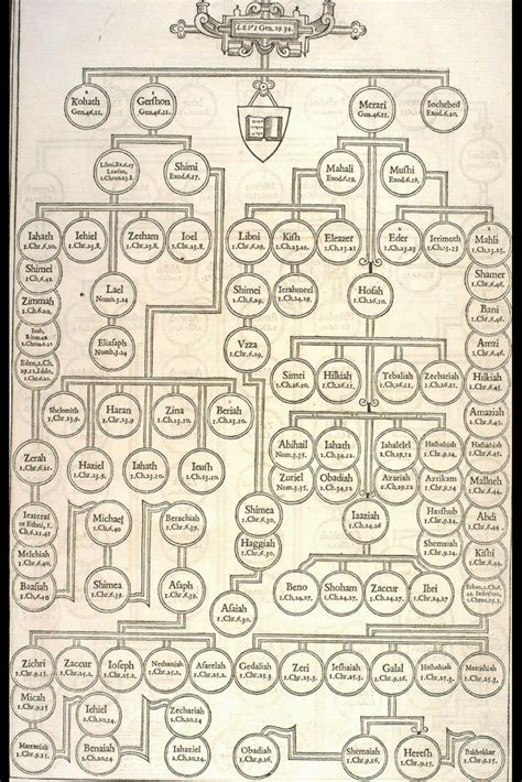 13) LEVI FAMILY TREE | Bible journaling, Bible study, Get closer to god