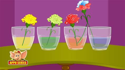 Learn Science through Home Experiments - Drinking Plants - YouTube