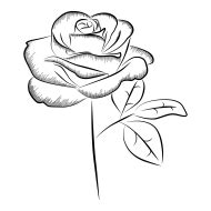 Rose Clipart Flower Png Vector Photo 3616 Takepng Dow - vrogue.co