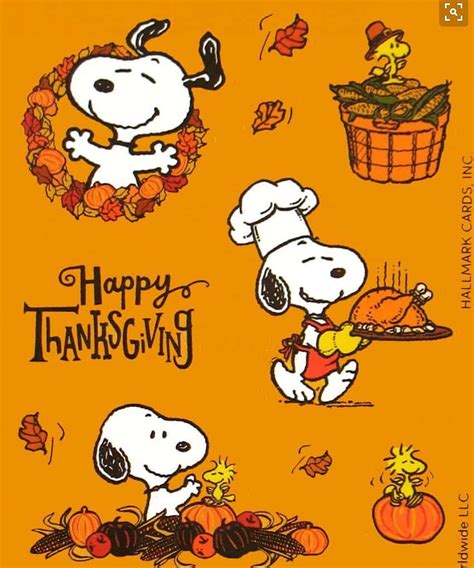 [100+] Snoopy Thanksgiving Wallpapers | Wallpapers.com