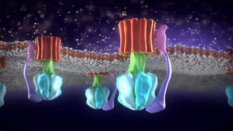 atp synthase animation Stock Footage Video (100% Royalty-free) 4371524 ...