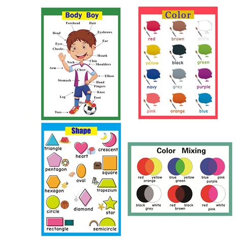 Classroom Educational Charts