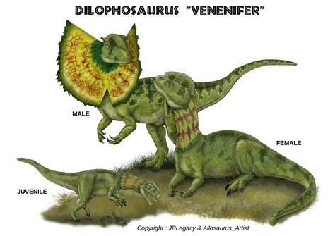 Dilophosaurus "venenifer" | Return to New Lands Wikia | Fandom | Dilophosaurus, Jurassic park ...