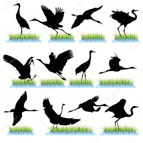 Cranes Silhouettes Set — Stock Vector © kaludov #6776136