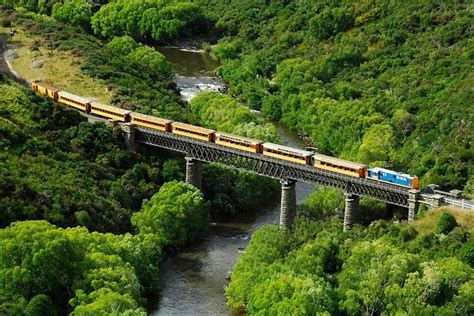 Taieri Gorge Railway and the Otago Peninsula Tour from Dunedin 2024 - Dunedin & The Otago Peninsula