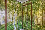 Morning Forest Peel and Stick Wall Mural |Full Size Large Wall Murals ...